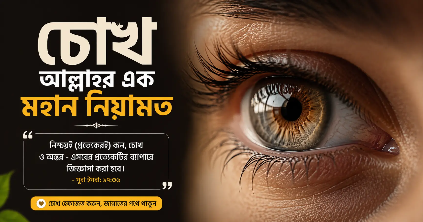 চোখ আল্লাহর নিয়ামত